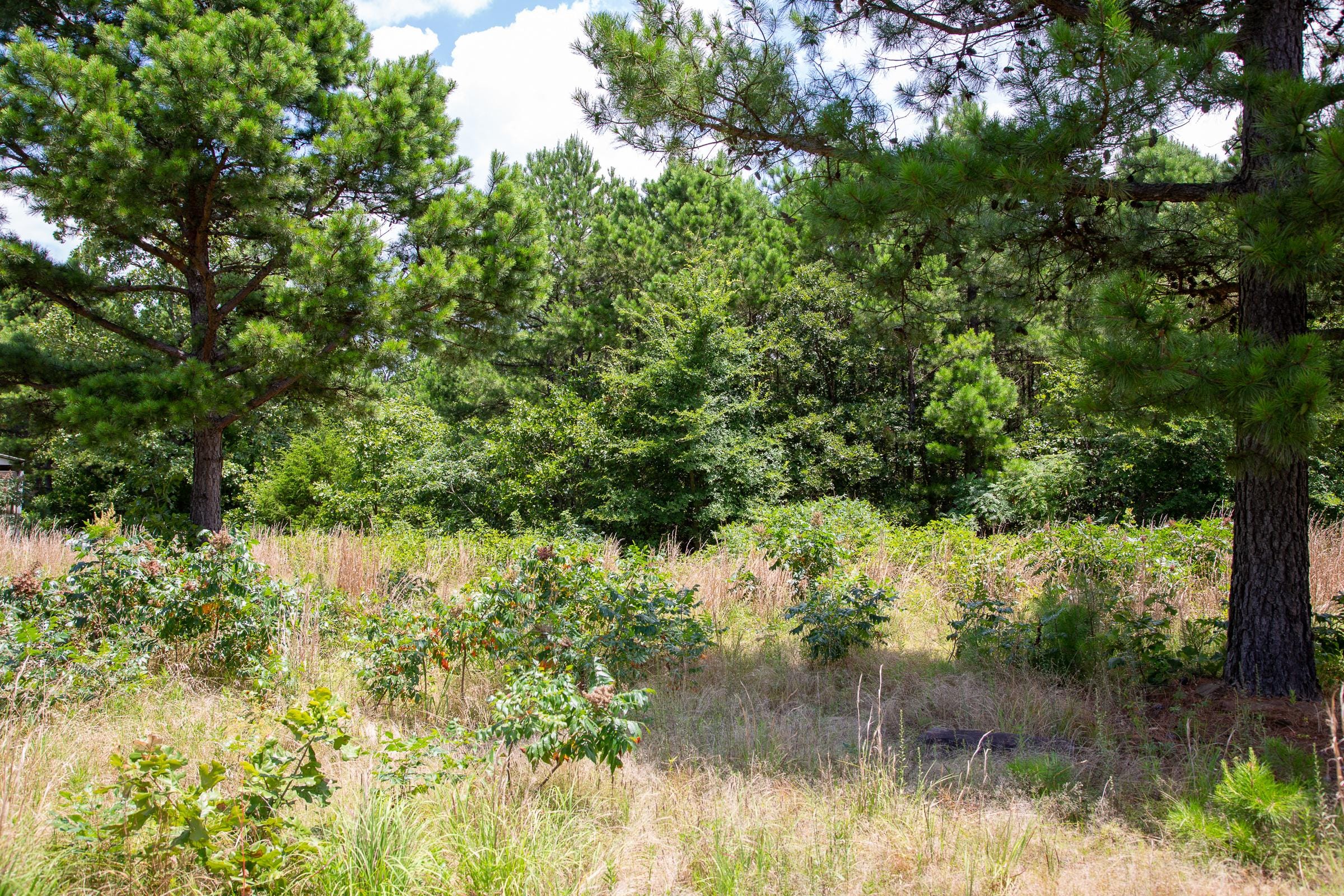 Tyler Stone Ranch Tract 17 photo 8