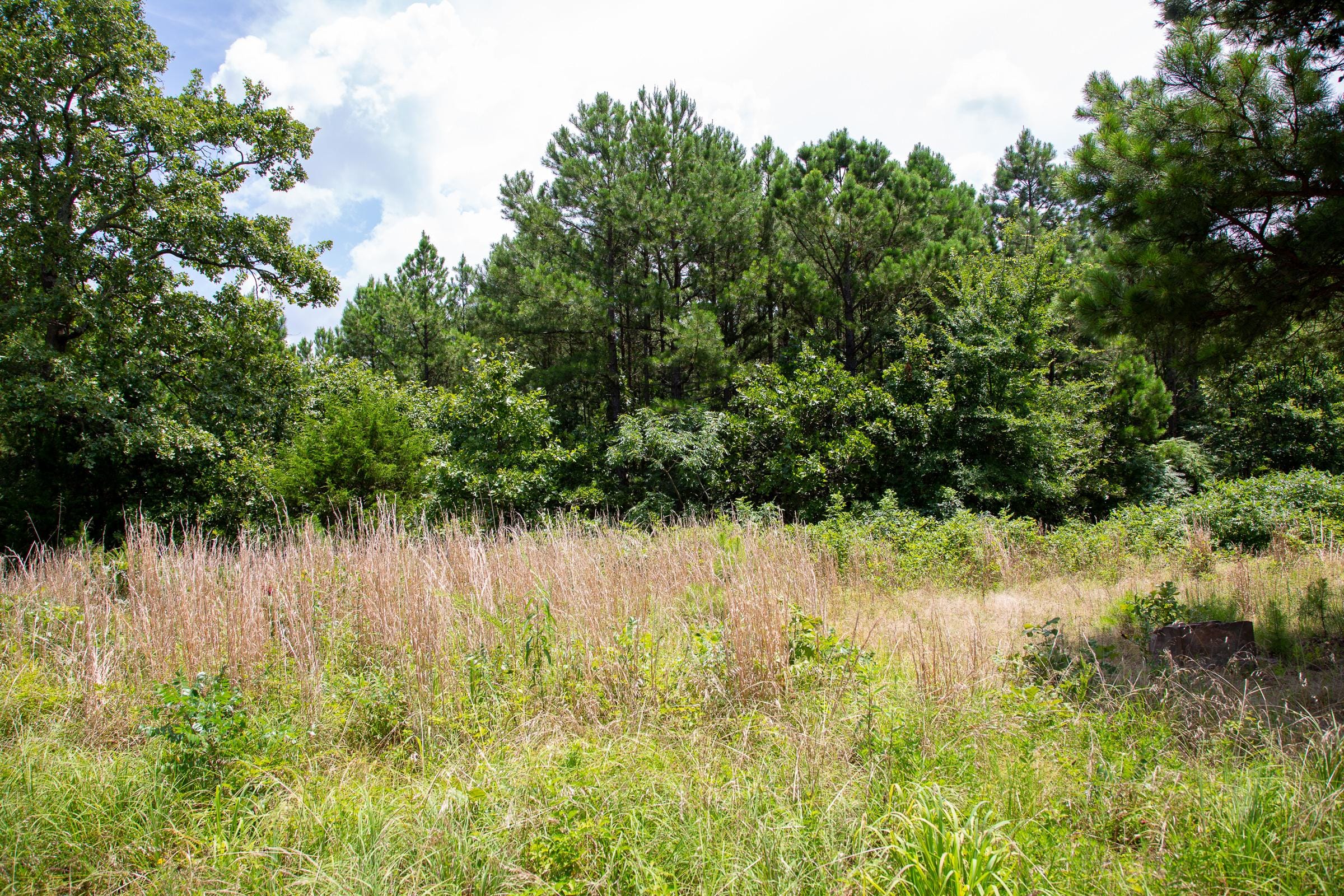 Tyler Stone Ranch Tract 17 photo 9