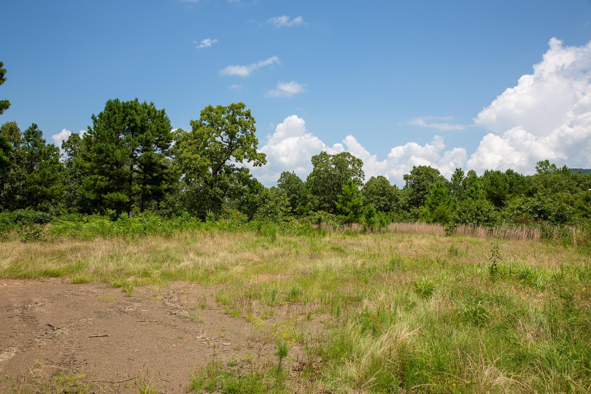 Tyler Stone Ranch Tract 17 photo 10