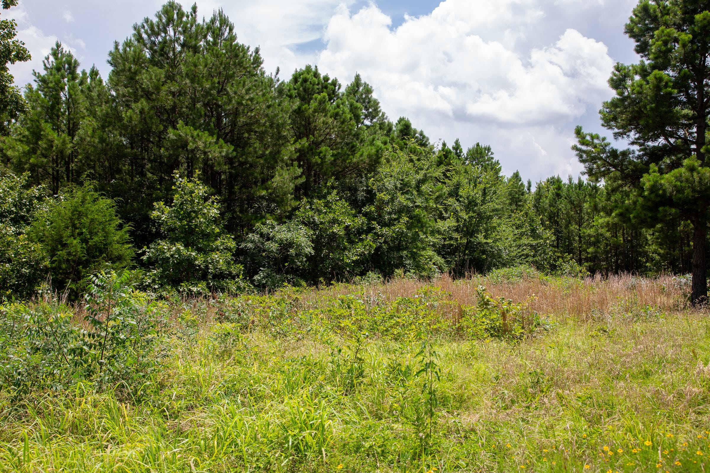 Tyler Stone Ranch Tract 17 photo 12