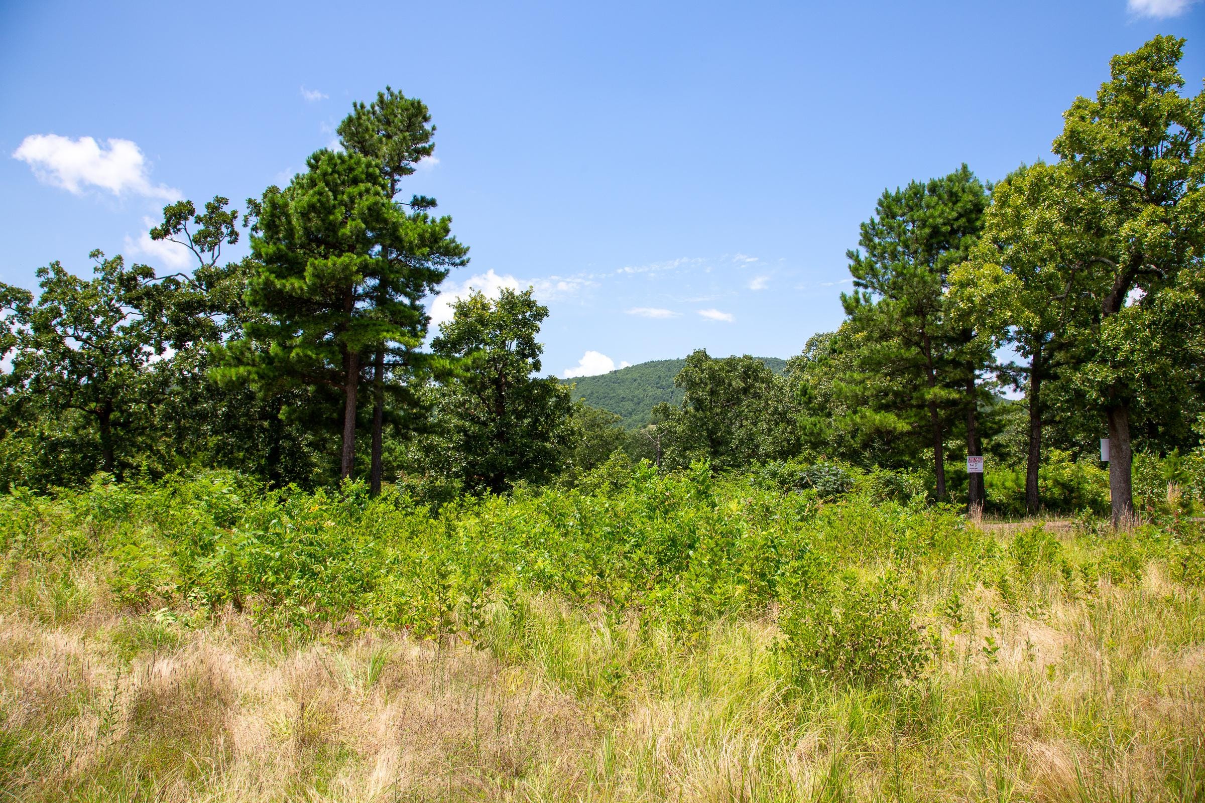 Tyler Stone Ranch Tract 17 photo 13