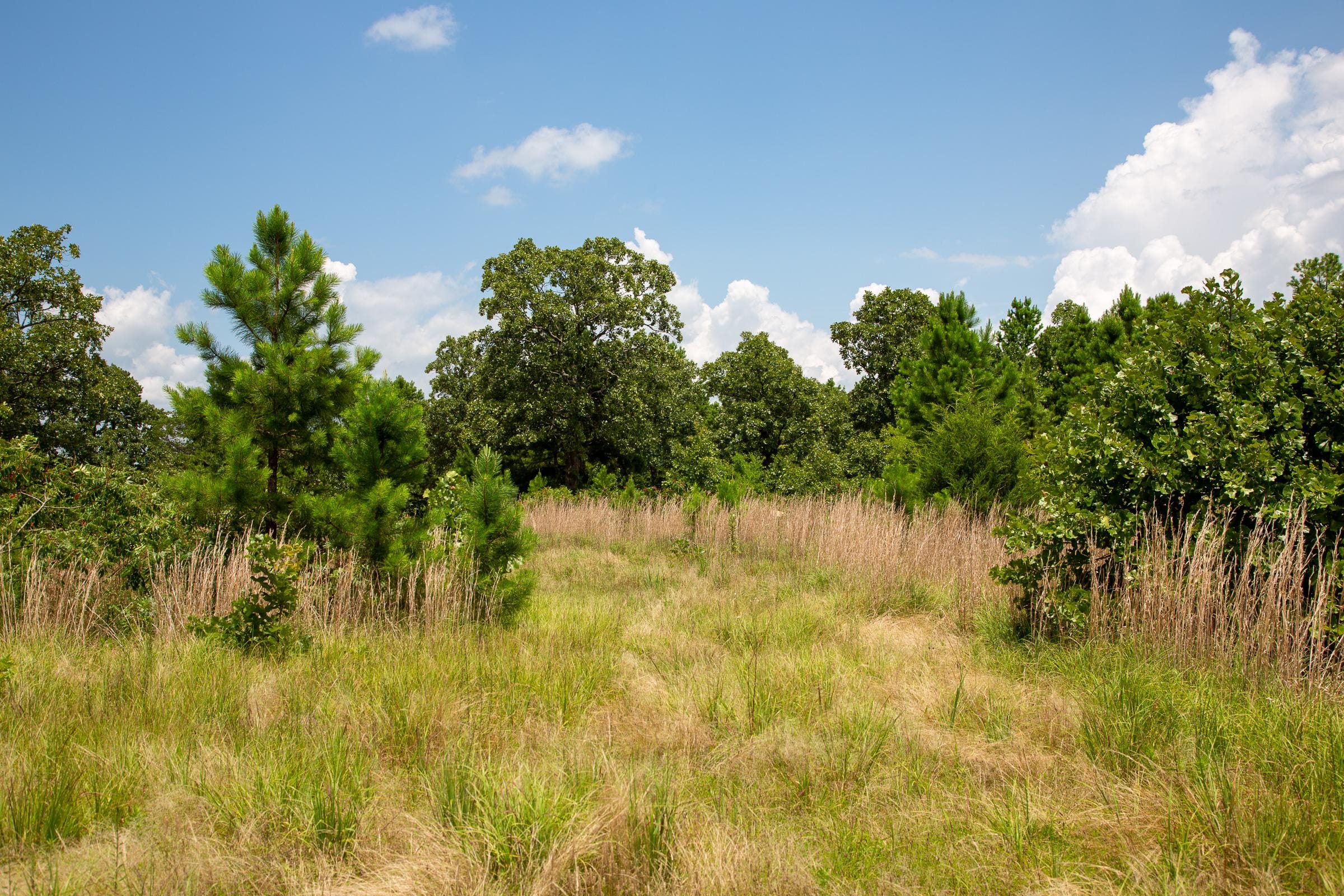 Tyler Stone Ranch Tract 17 photo 14