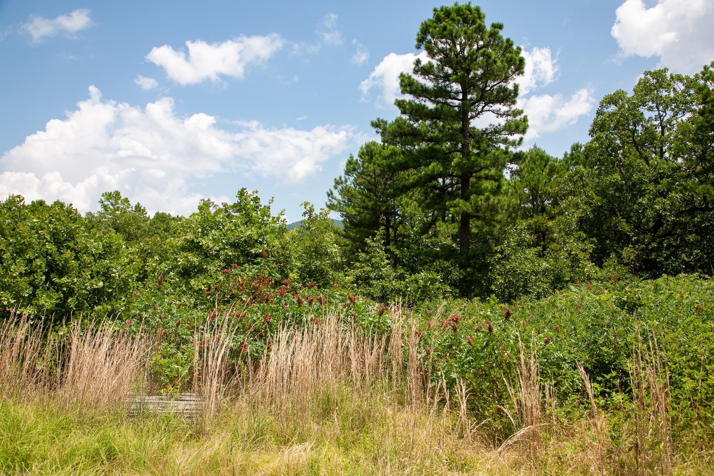 Tyler Stone Ranch Tract 17 photo 1