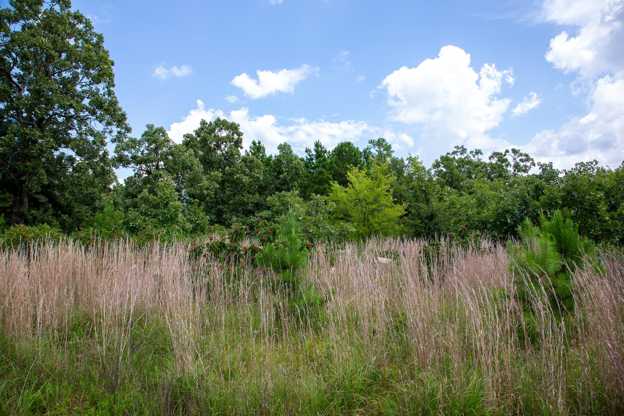 Tyler Stone Ranch Tract 17 photo 16