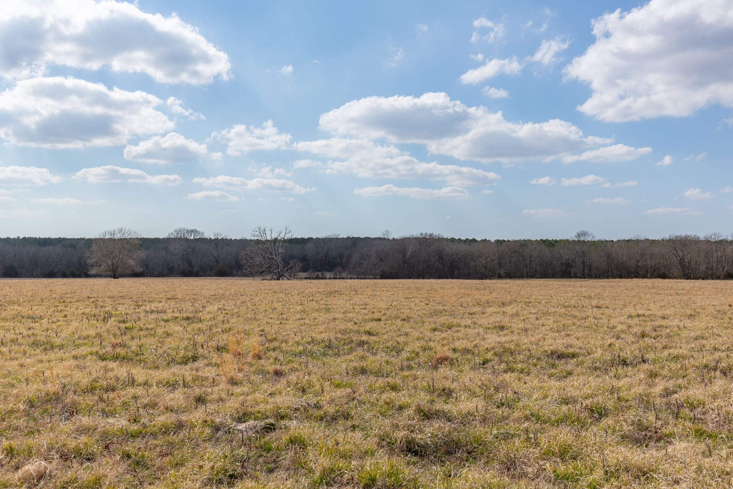 Wishing Star Ranch Tract 38 photo 2
