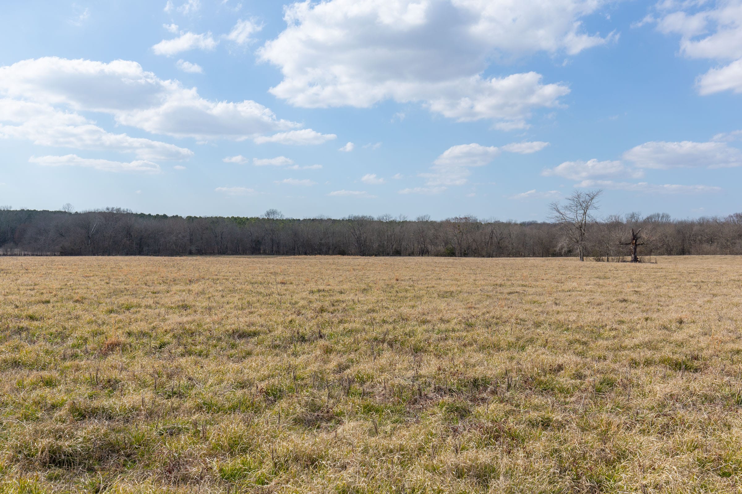 Wishing Star Ranch Tract 38 photo 3