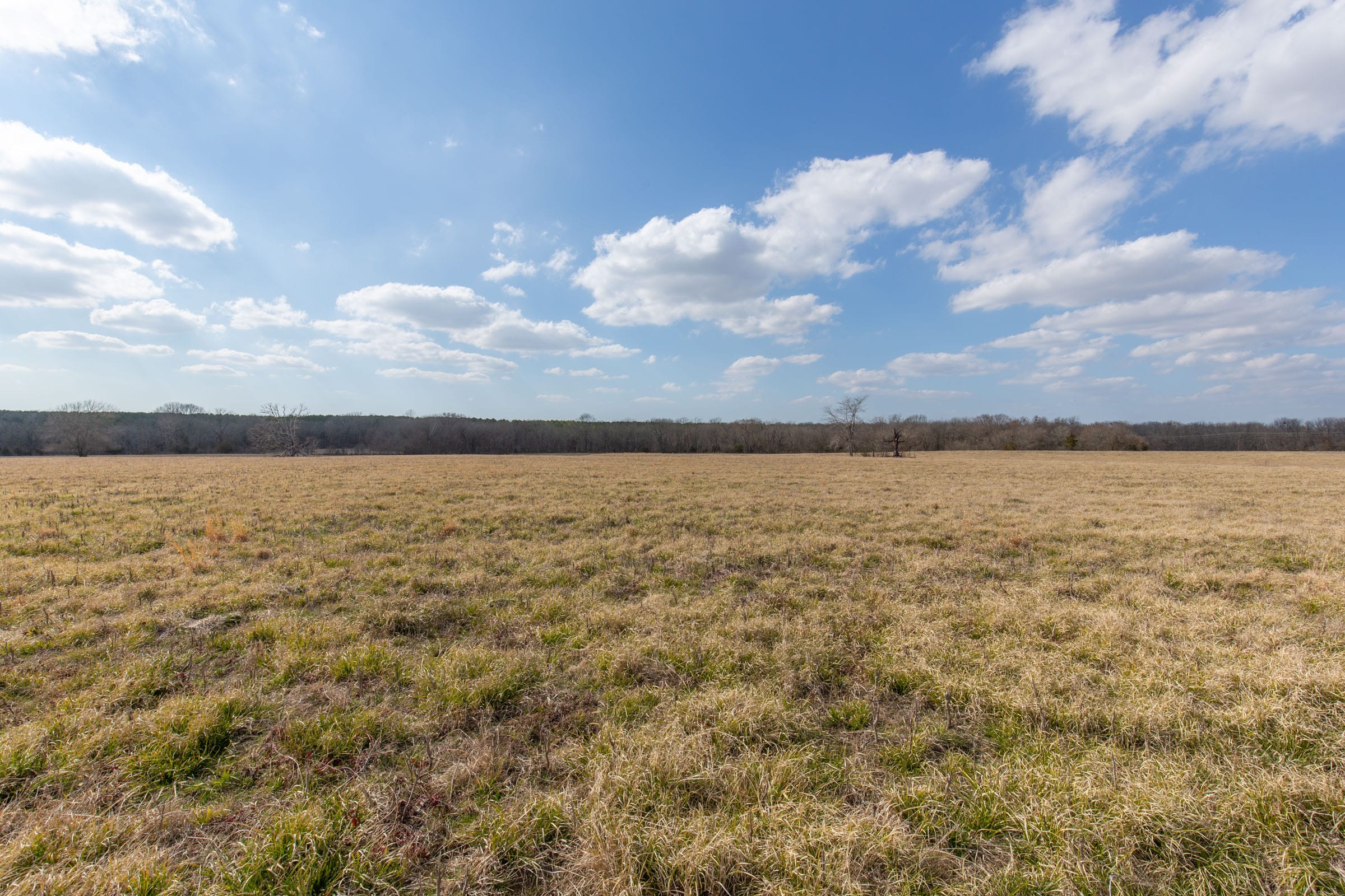 Wishing Star Ranch Tract 38 photo 5