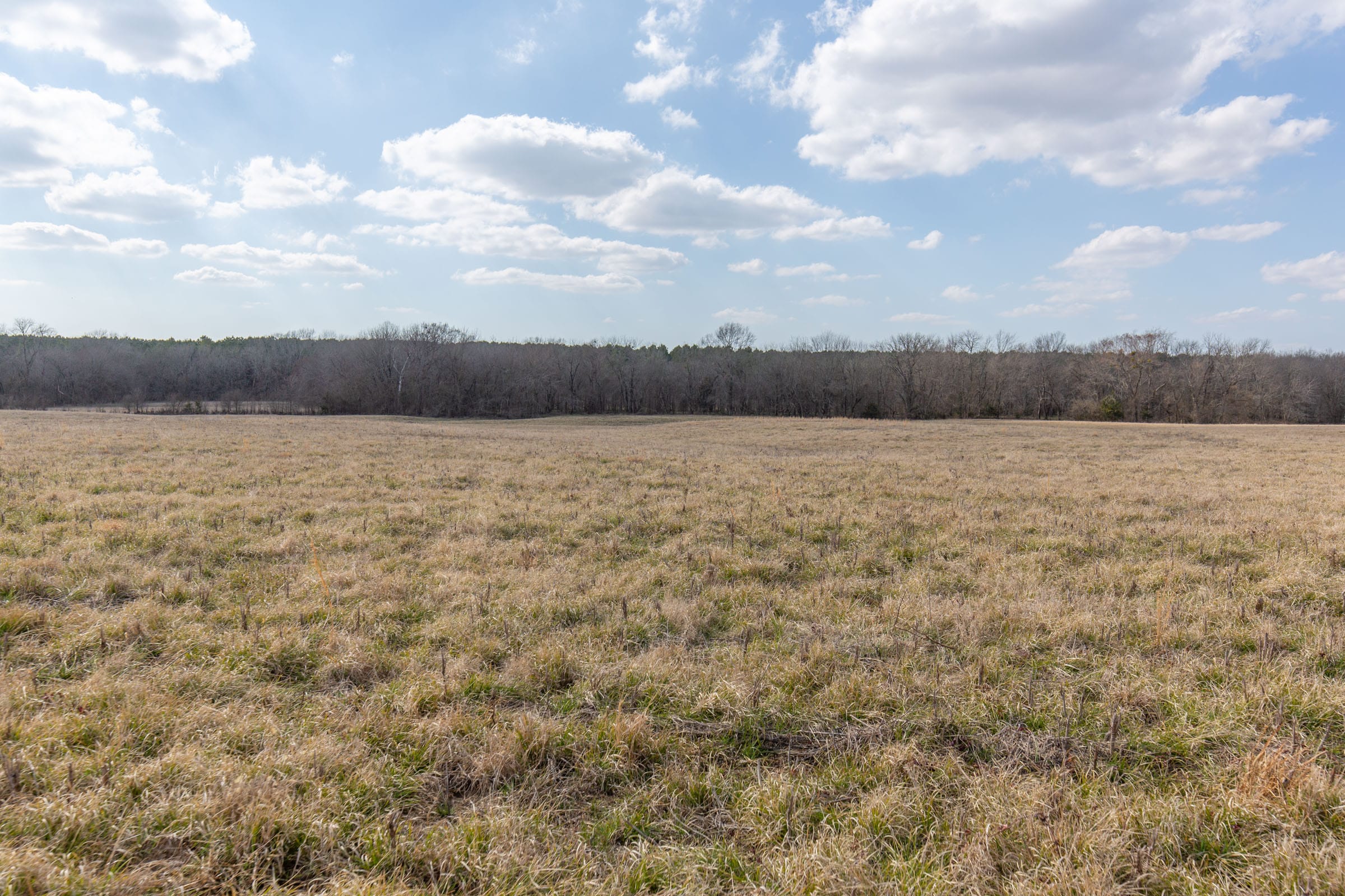Wishing Star Ranch Tract 38 photo 6