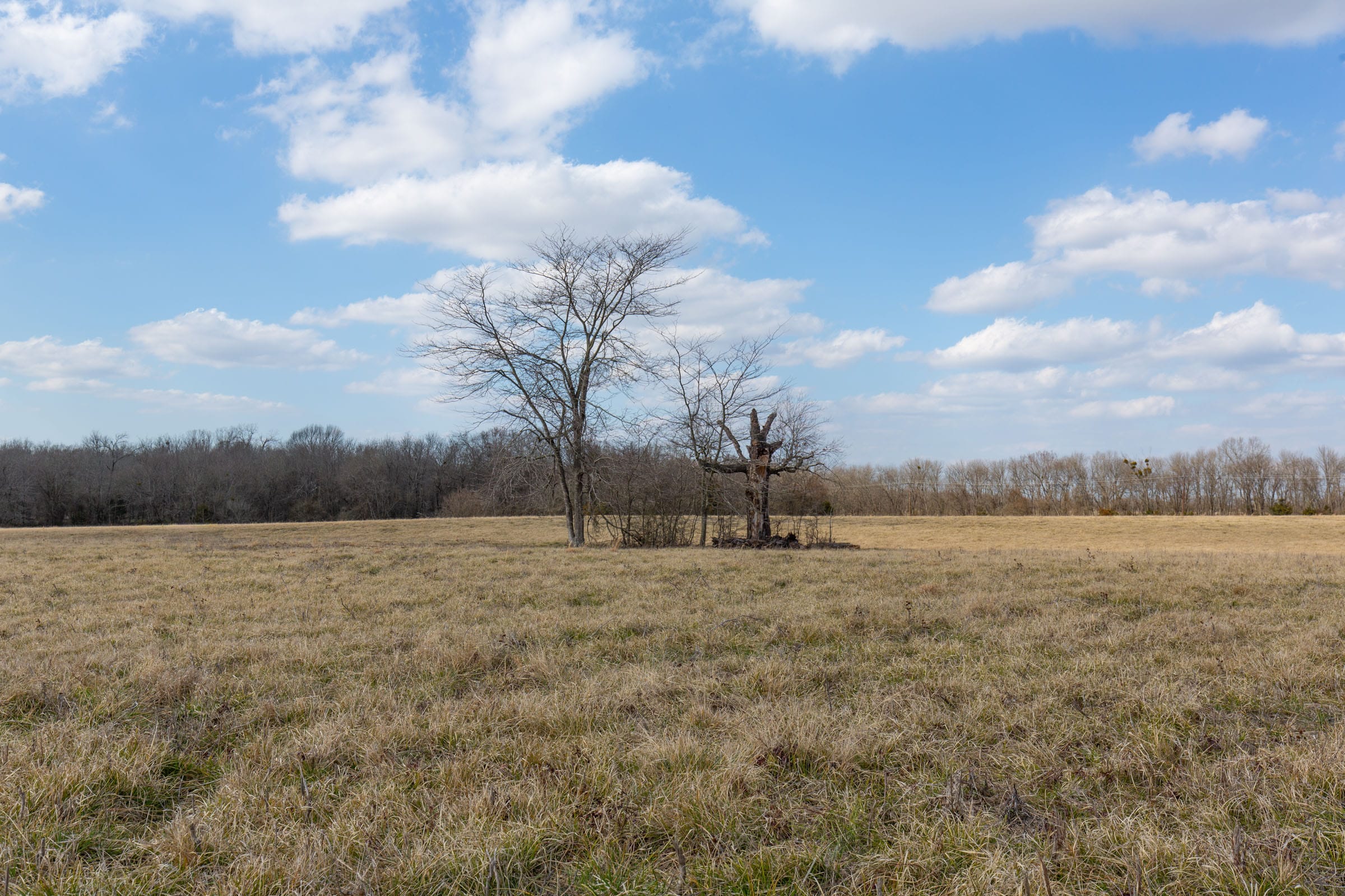 Wishing Star Ranch Tract 38 photo 9