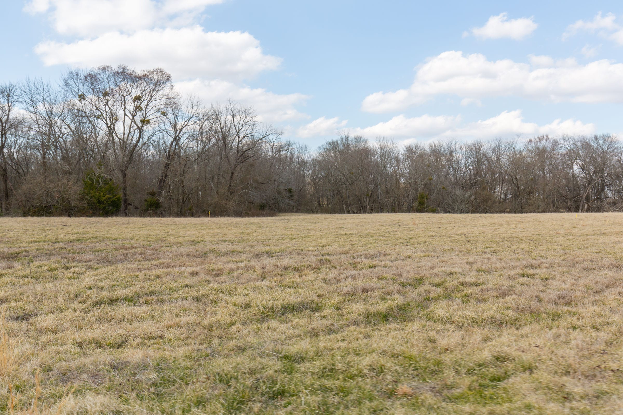 Wishing Star Ranch Tract 38 photo 8