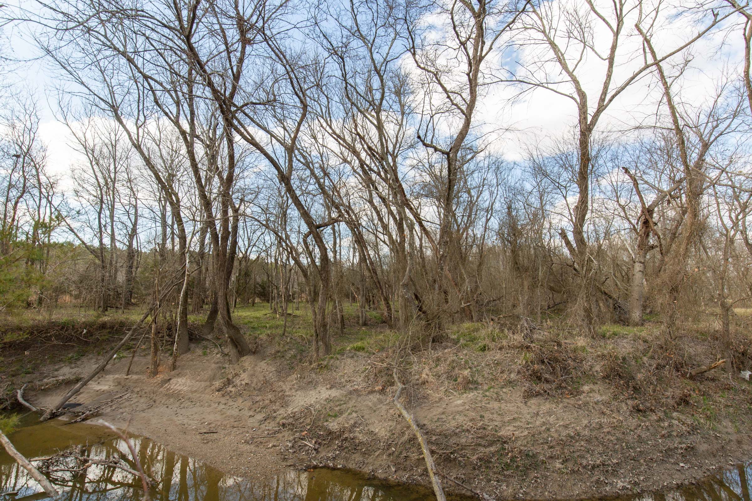 Wishing Star Ranch Tract 38 photo 11