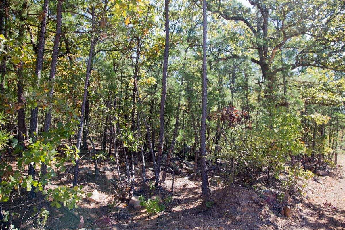 Stone Creek Phase I Tract 172 photo 3