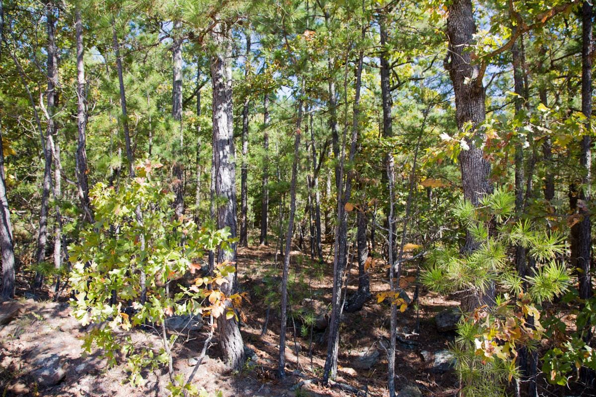 Stone Creek Phase I Tract 172 photo 4