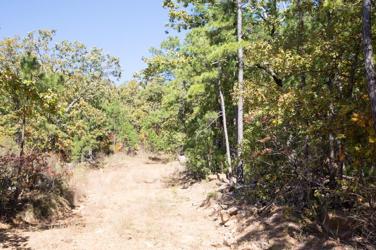 Stone Creek Phase I Tract 172 photo 2