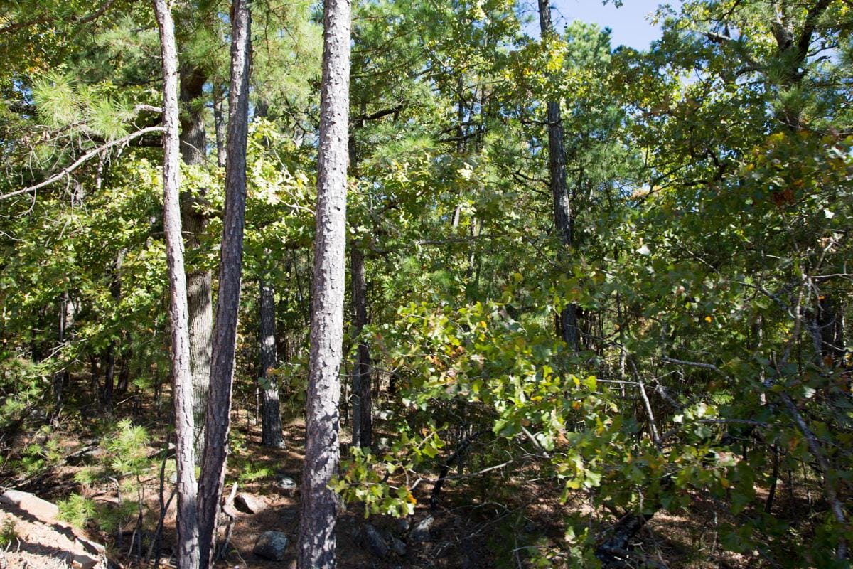 Stone Creek Phase I Tract 172 photo 6