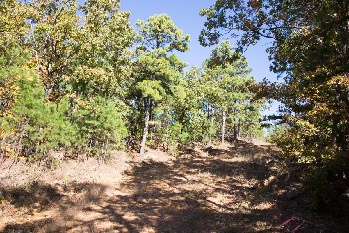 Stone Creek Phase I Tract 172 photo 8