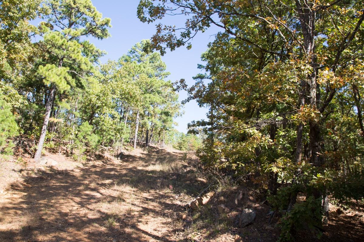 Stone Creek Phase I Tract 172 photo 9