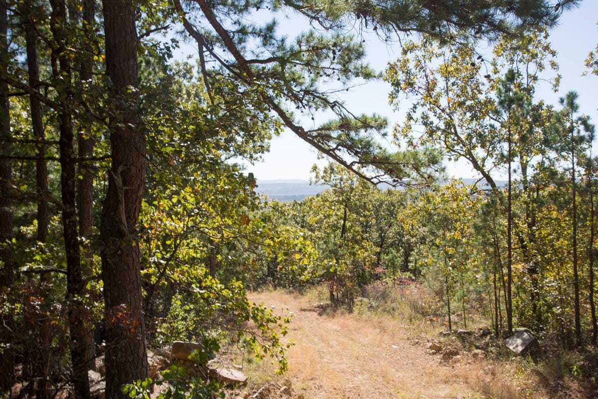 Stone Creek Phase I Tract 172 photo 10