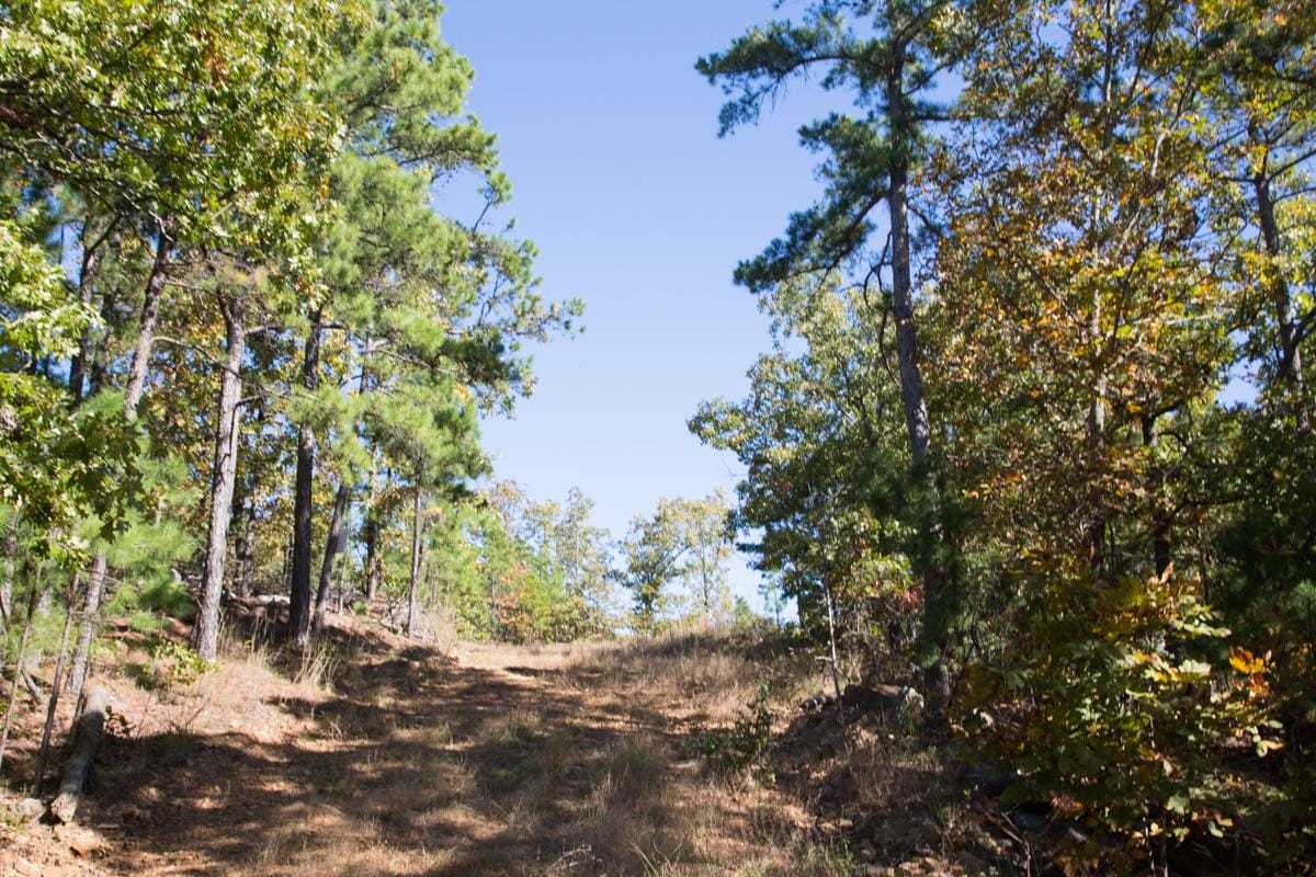 Stone Creek Phase I Tract 172 photo 11