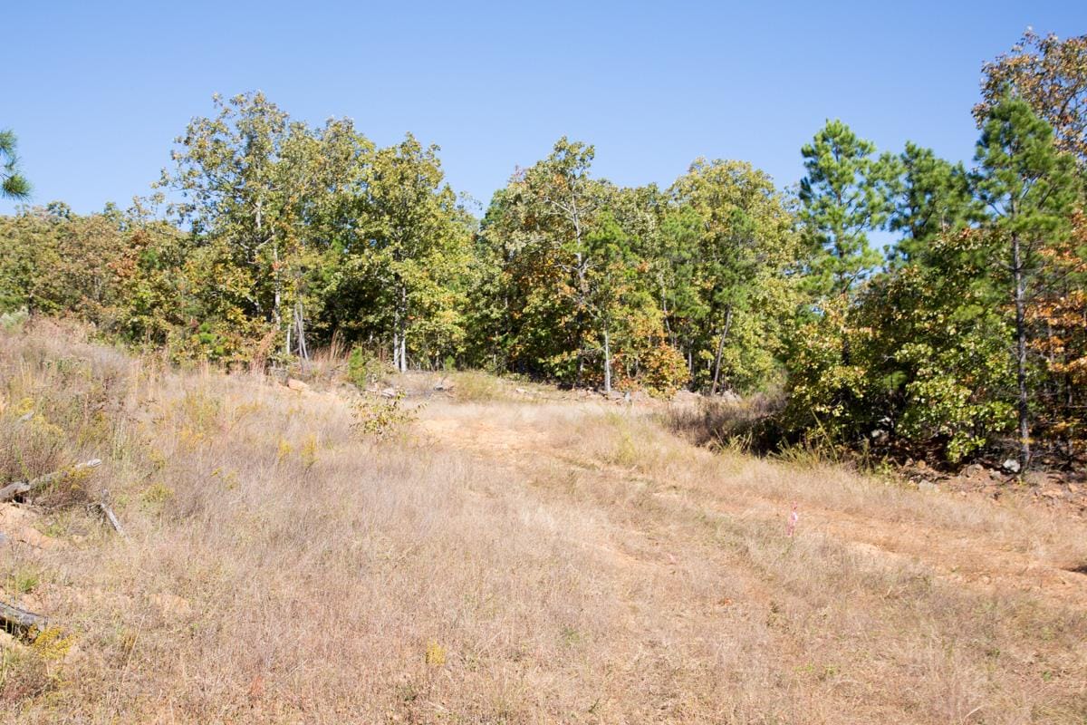 Stone Creek Phase I Tract 172 photo 12