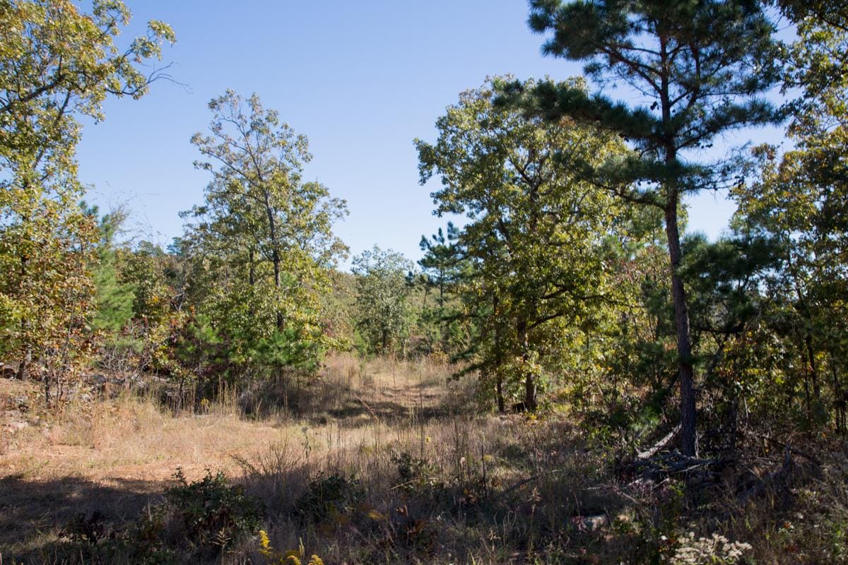 Stone Creek Phase I Tract 172 photo 13