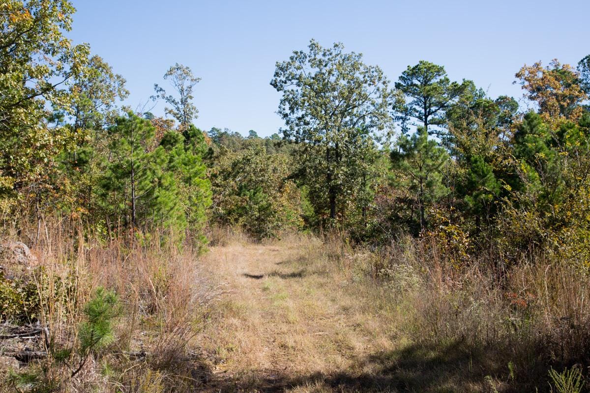 Stone Creek Phase I Tract 172 photo 14