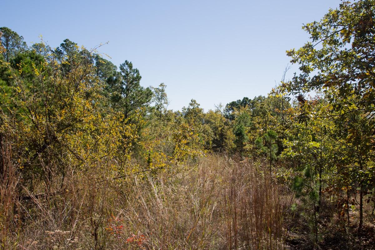 Stone Creek Phase I Tract 172 photo 15