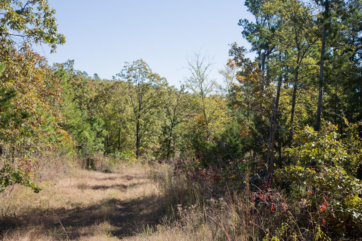 Stone Creek Phase I Tract 172 photo 16