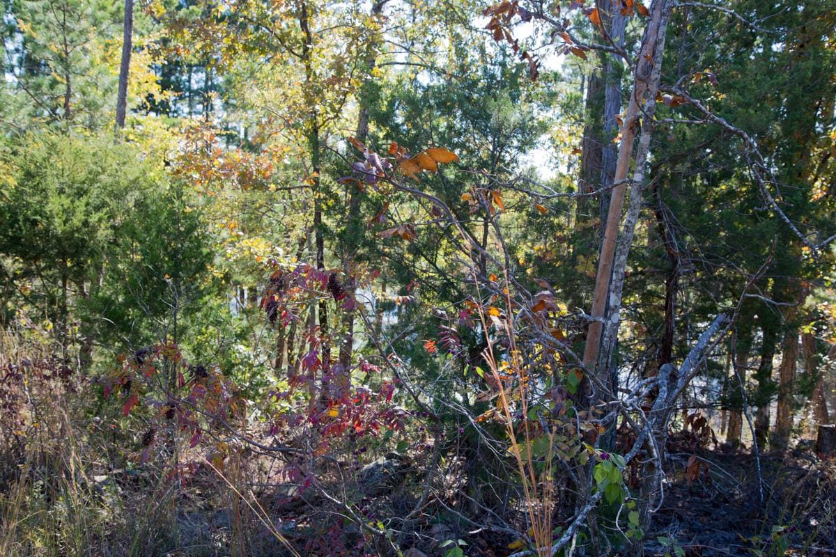 Stone Creek Phase I Tract 172 photo 17