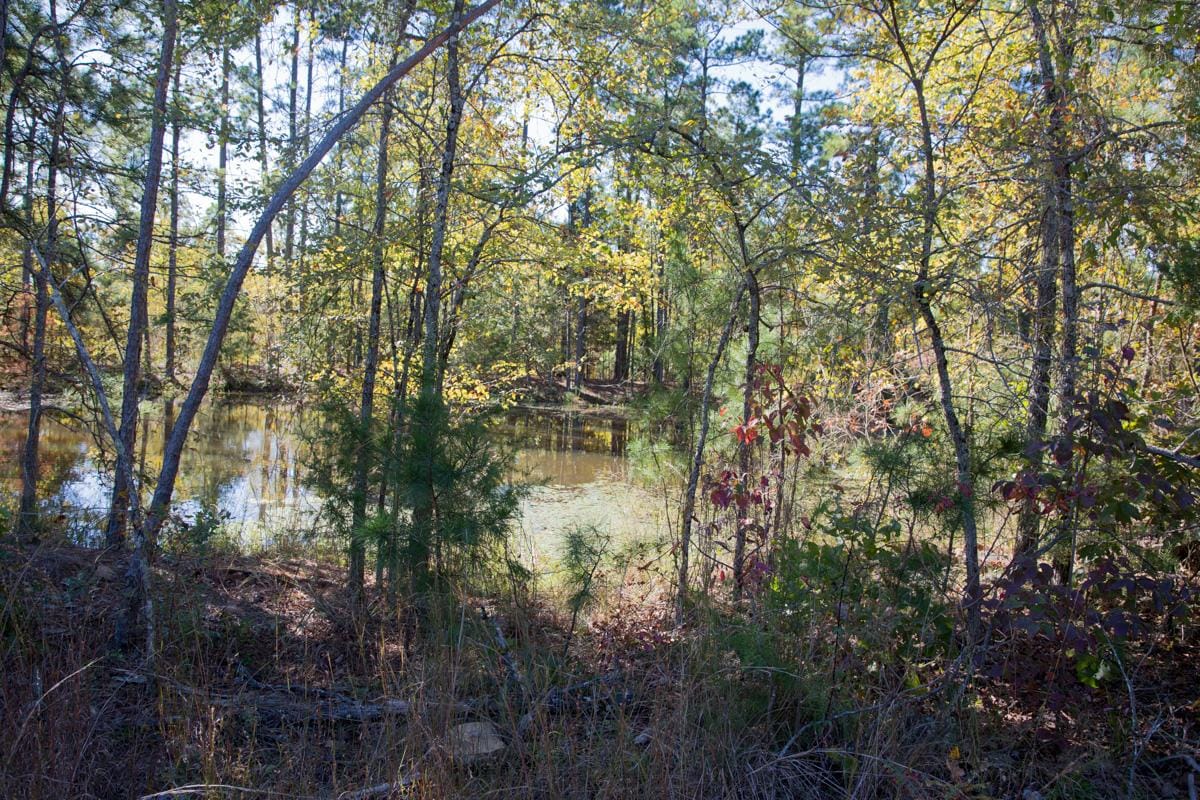 Stone Creek Phase I Tract 172 photo 18