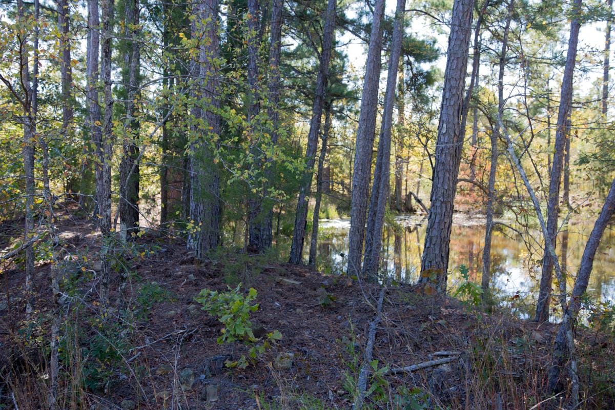 Stone Creek Phase I Tract 172 photo 19