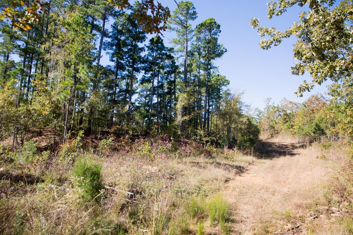 Stone Creek Phase I Tract 172 photo 21