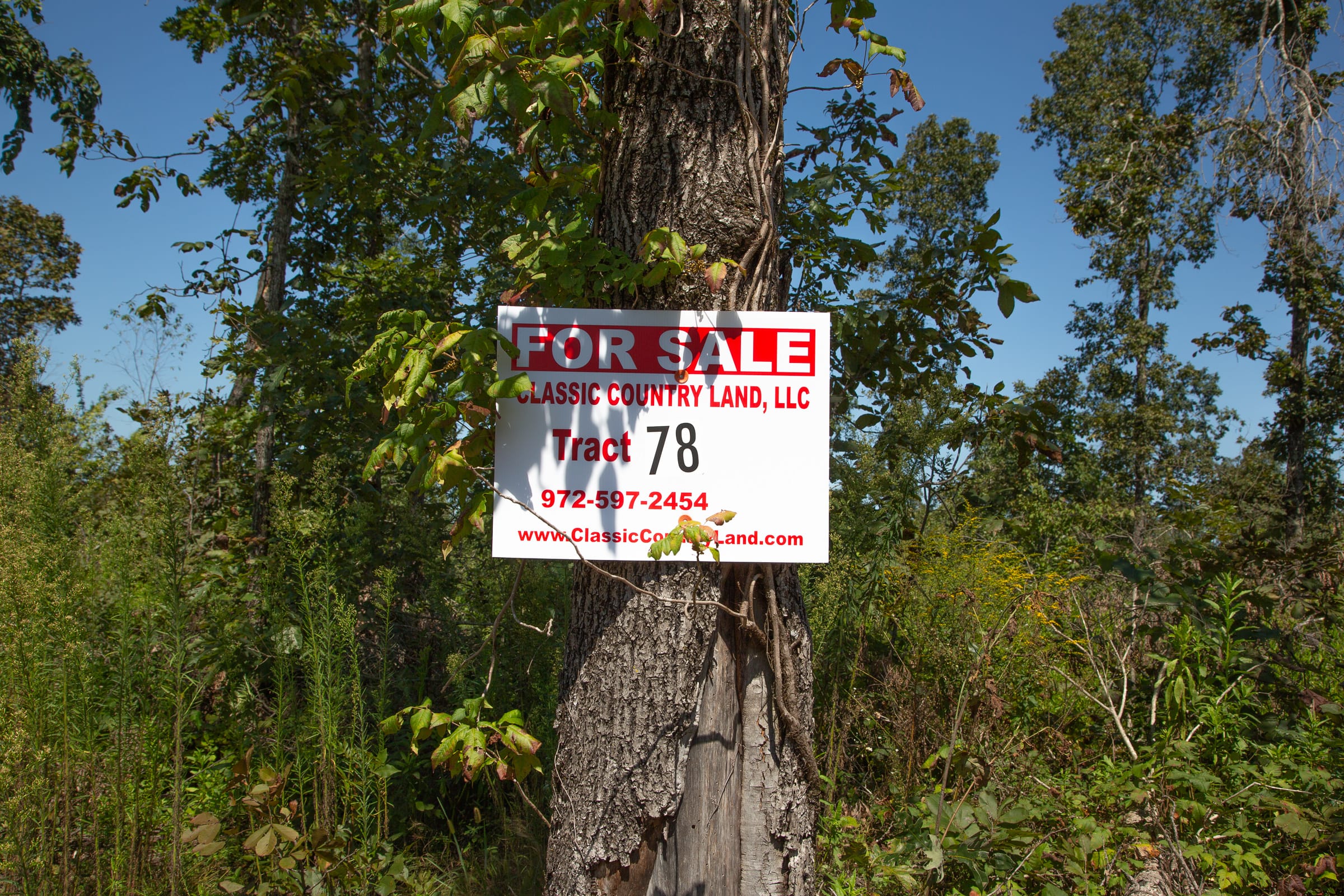 Borgmann’s Hollow Phase III Tract 78 photo 1