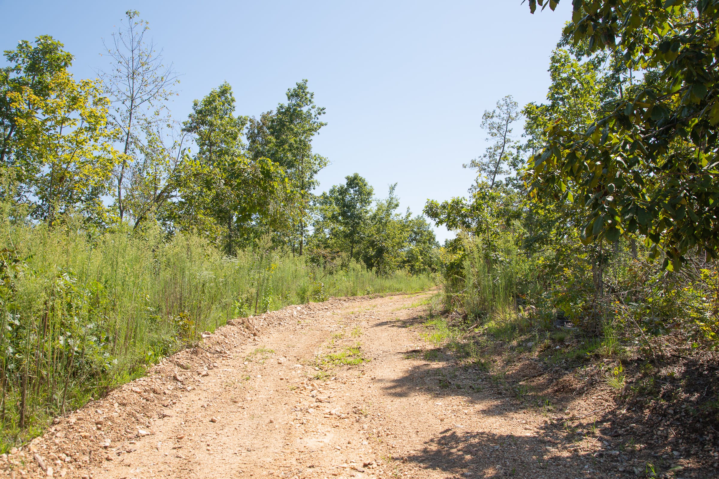 Borgmann’s Hollow Phase III Tract 78 photo 2