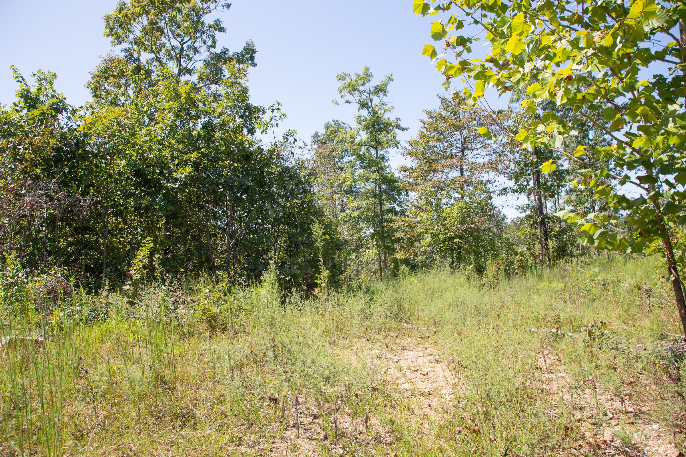 Borgmann’s Hollow Phase III Tract 78 photo 9