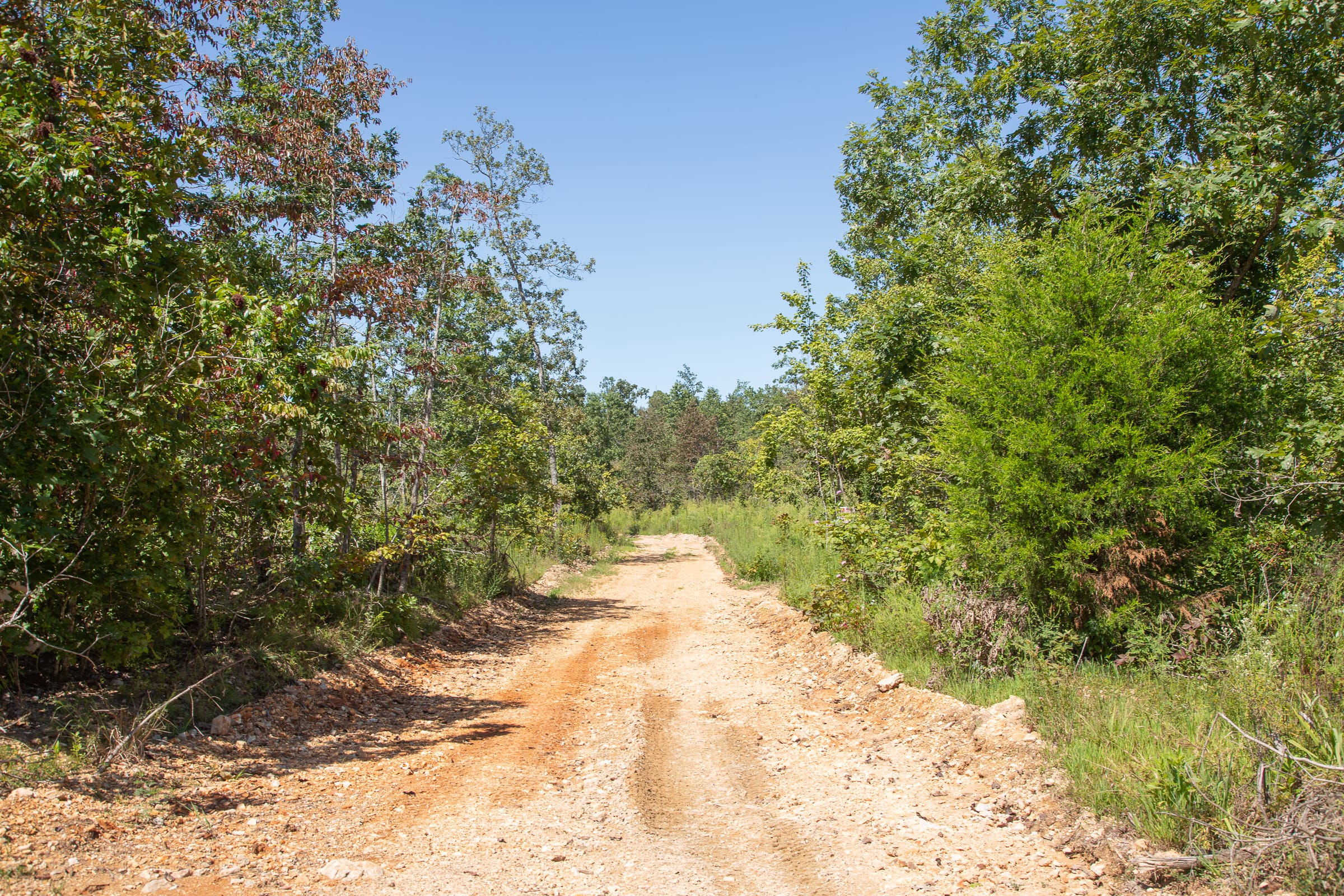 Borgmann’s Hollow Phase III Tract 78 photo 10