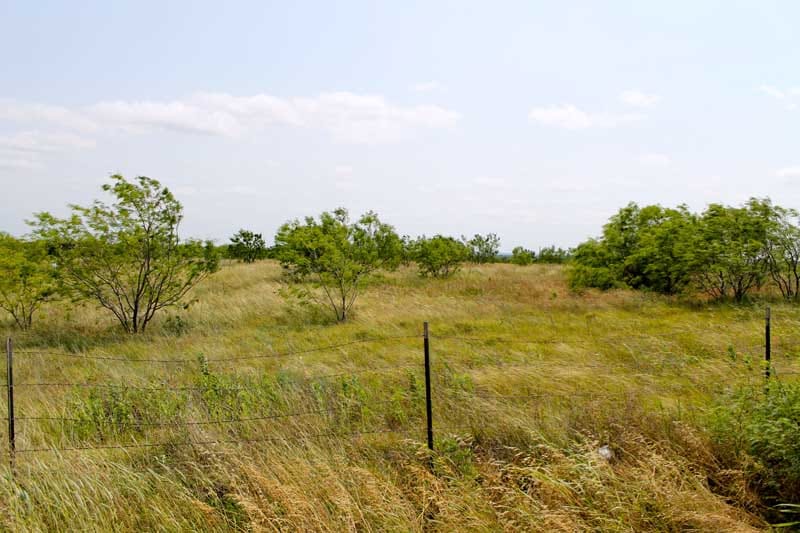 Meadowview Estates Tract 1 photo 2