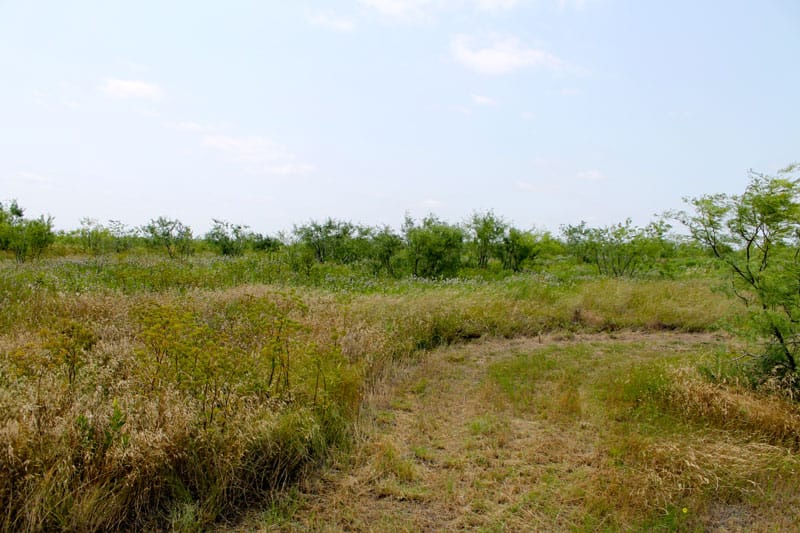 Meadowview Estates Tract 1 photo 7