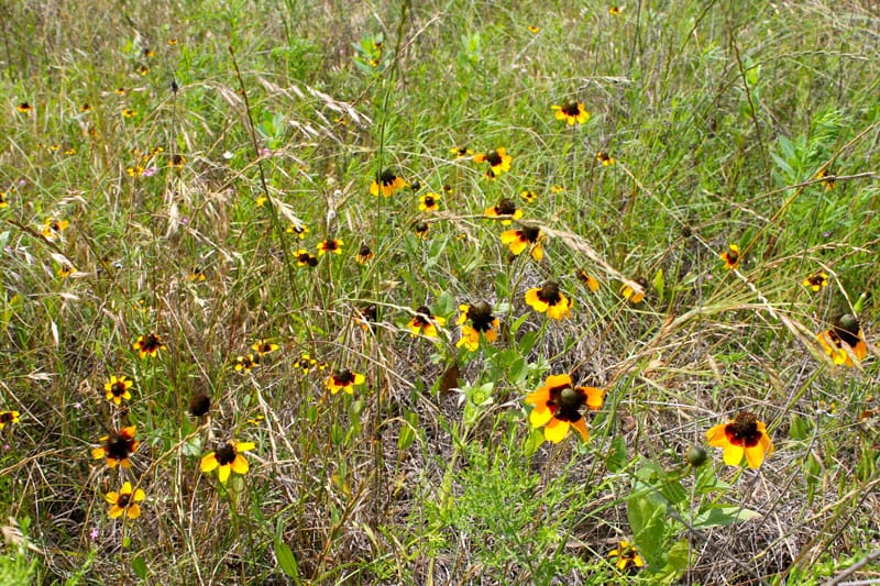 Meadowview Estates Tract 1 photo 9