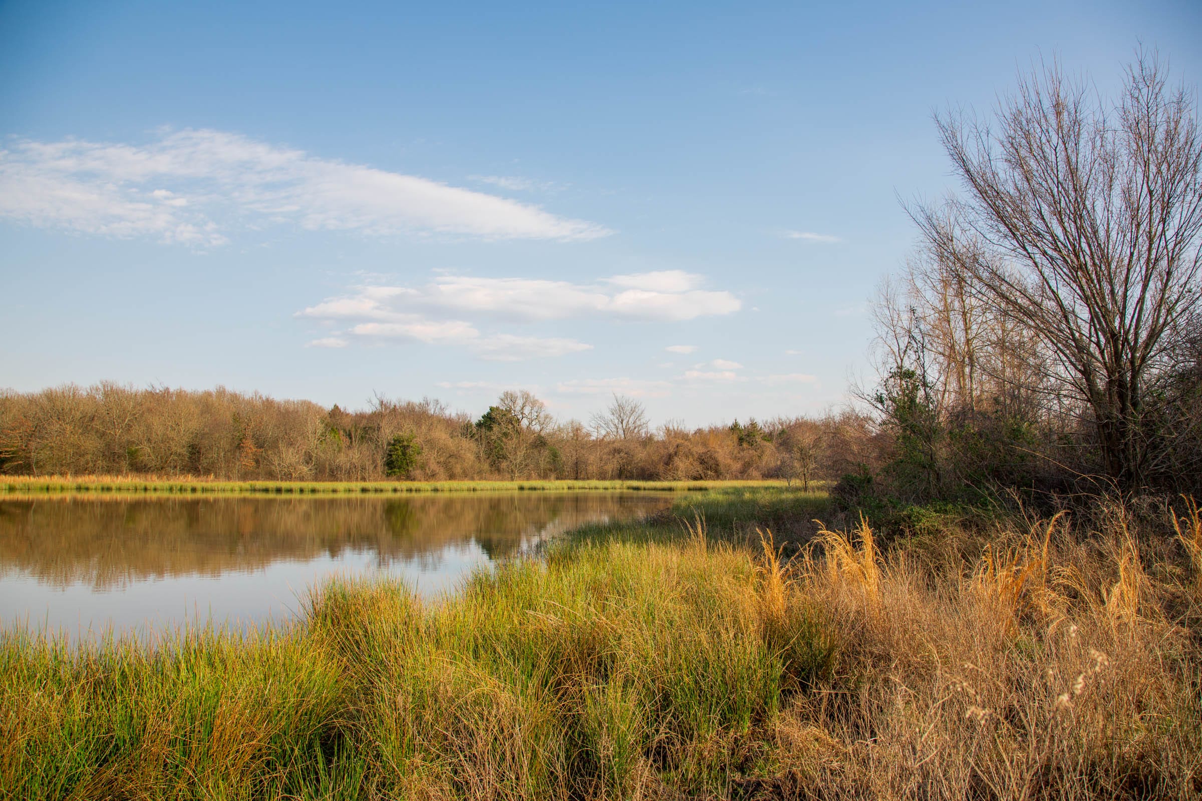 Eufaula Cove Tract 11 photo 5