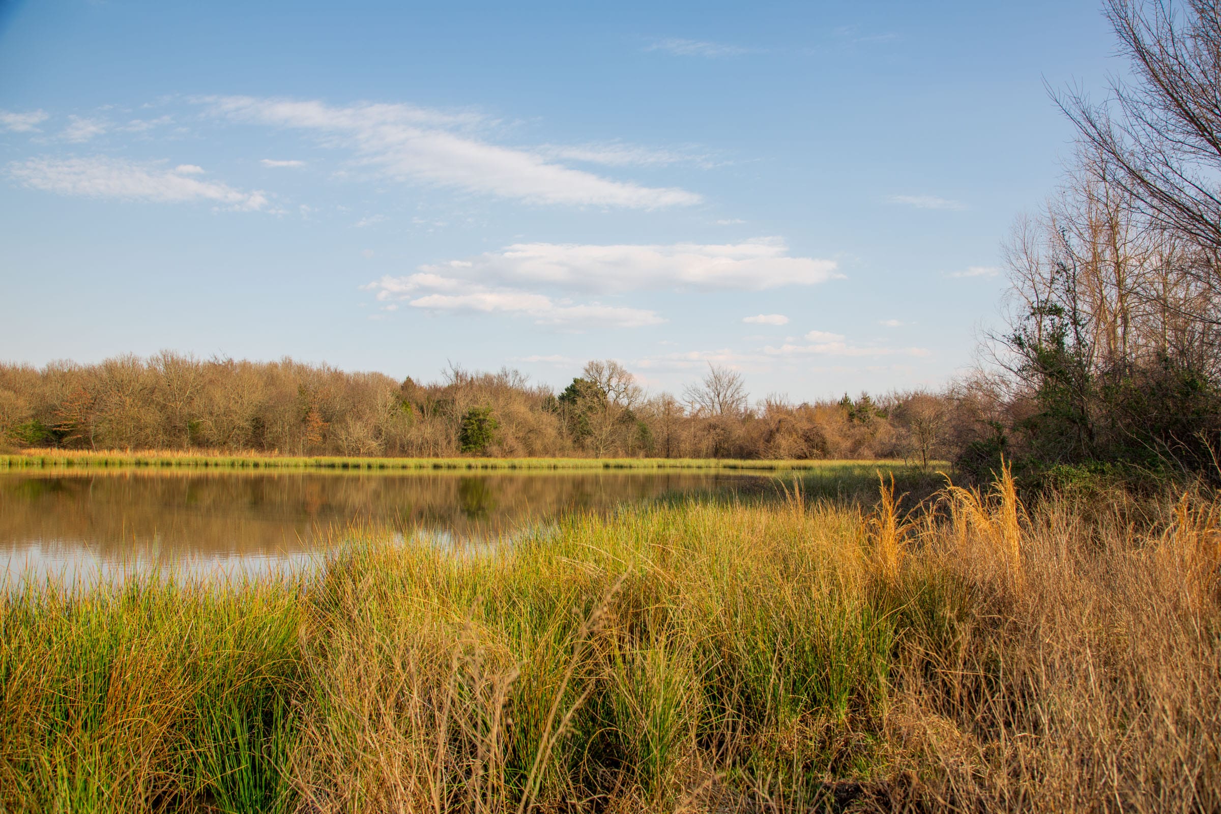 Eufaula Cove Tract 11 photo 7