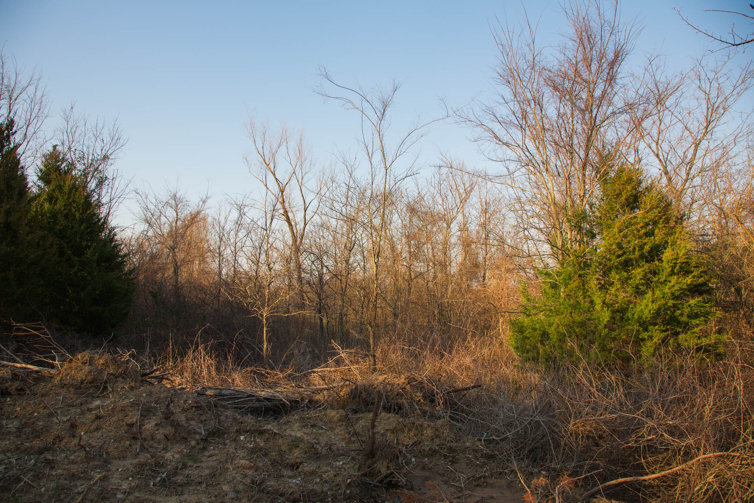 Eufaula Cove Tract 11 photo 11