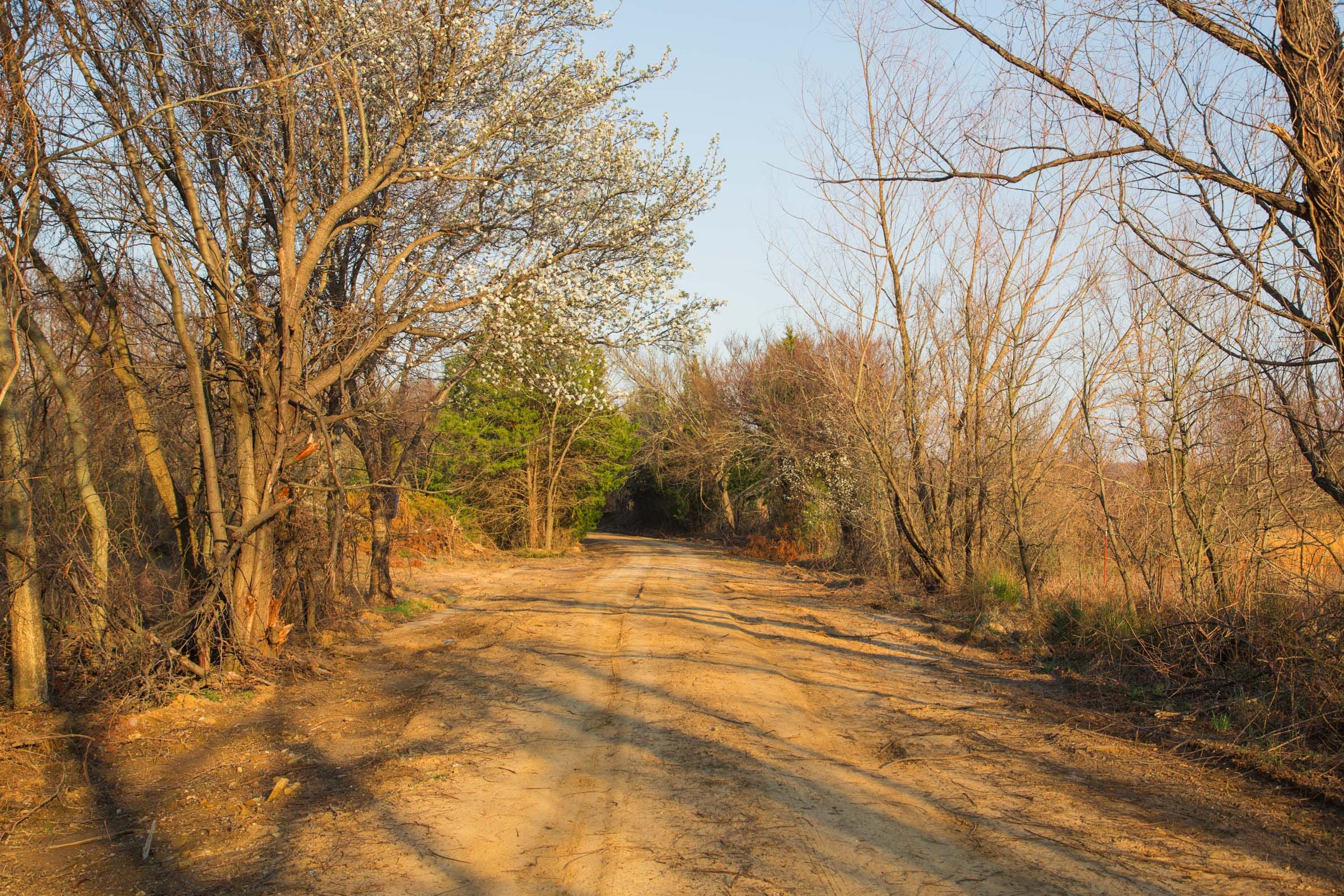 Eufaula Cove Tract 11 photo 12