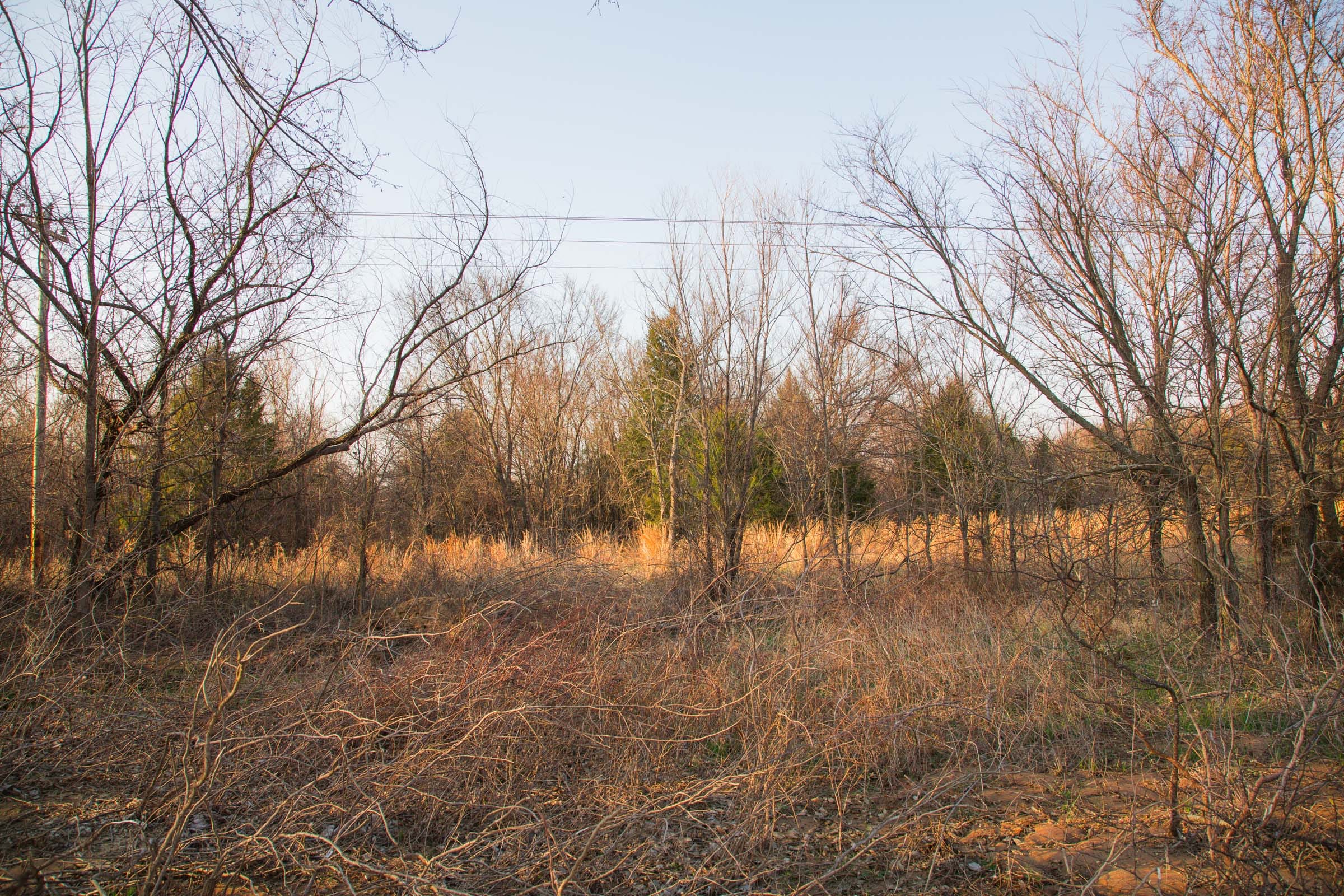 Eufaula Cove Tract 11 photo 16