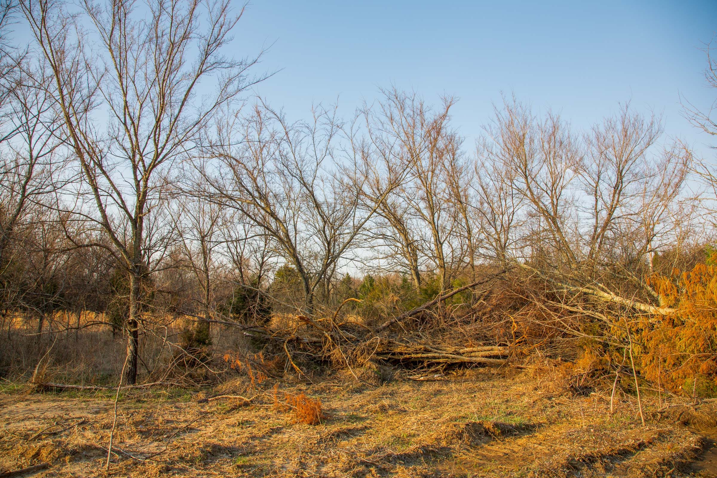 Eufaula Cove Tract 11 photo 17