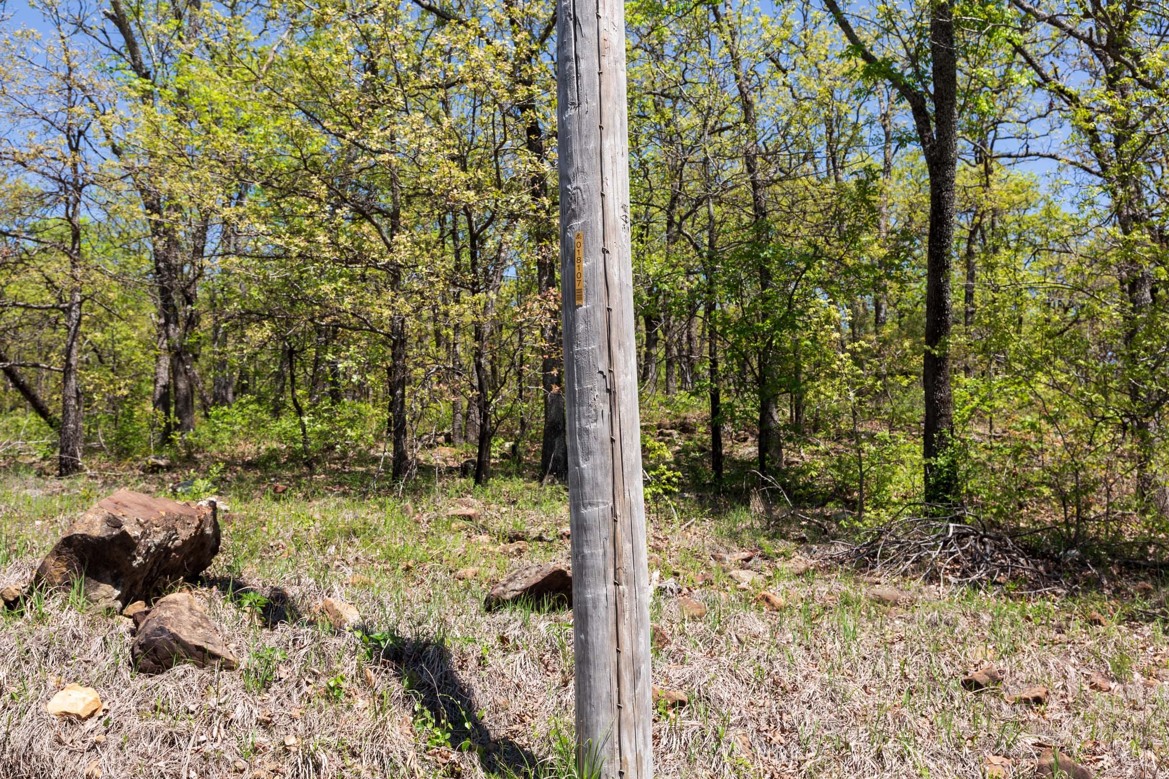 Allie’s Acres Tract 3 photo 1
