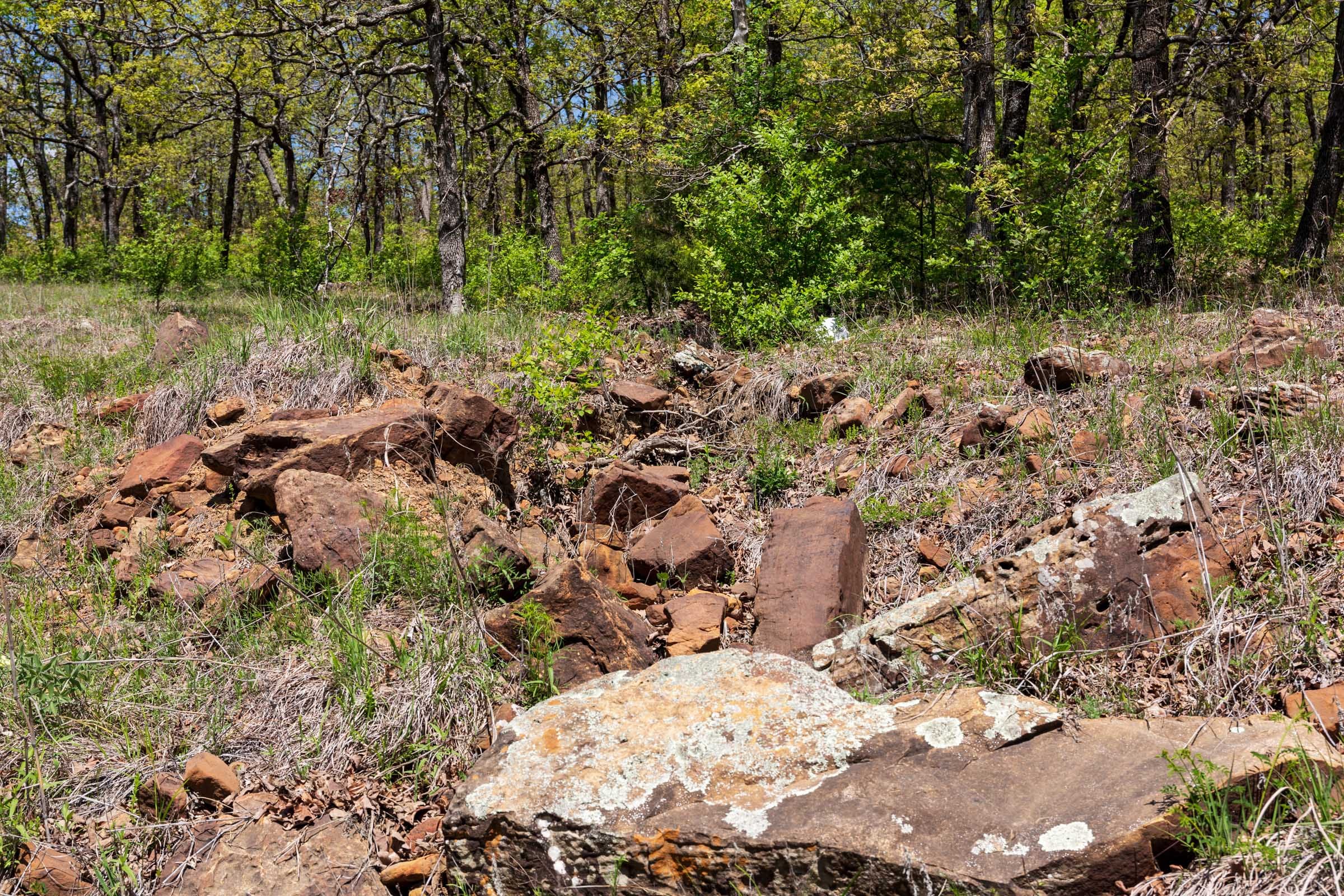 Allie’s Acres Tract 3 photo 11
