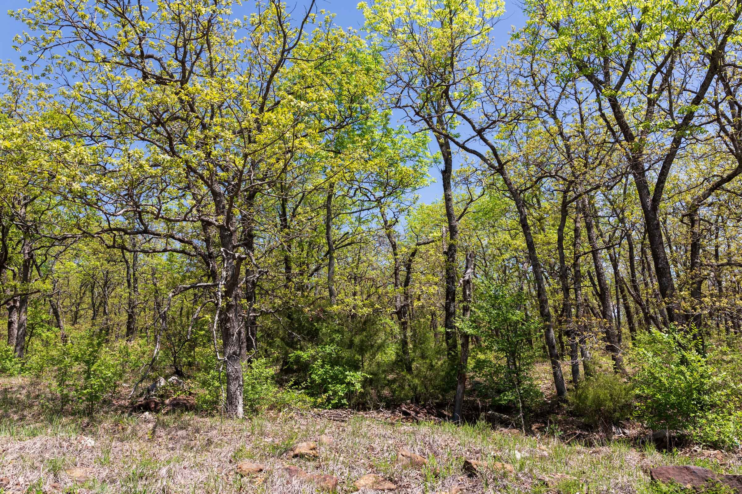 Allie’s Acres Tract 3 photo 12