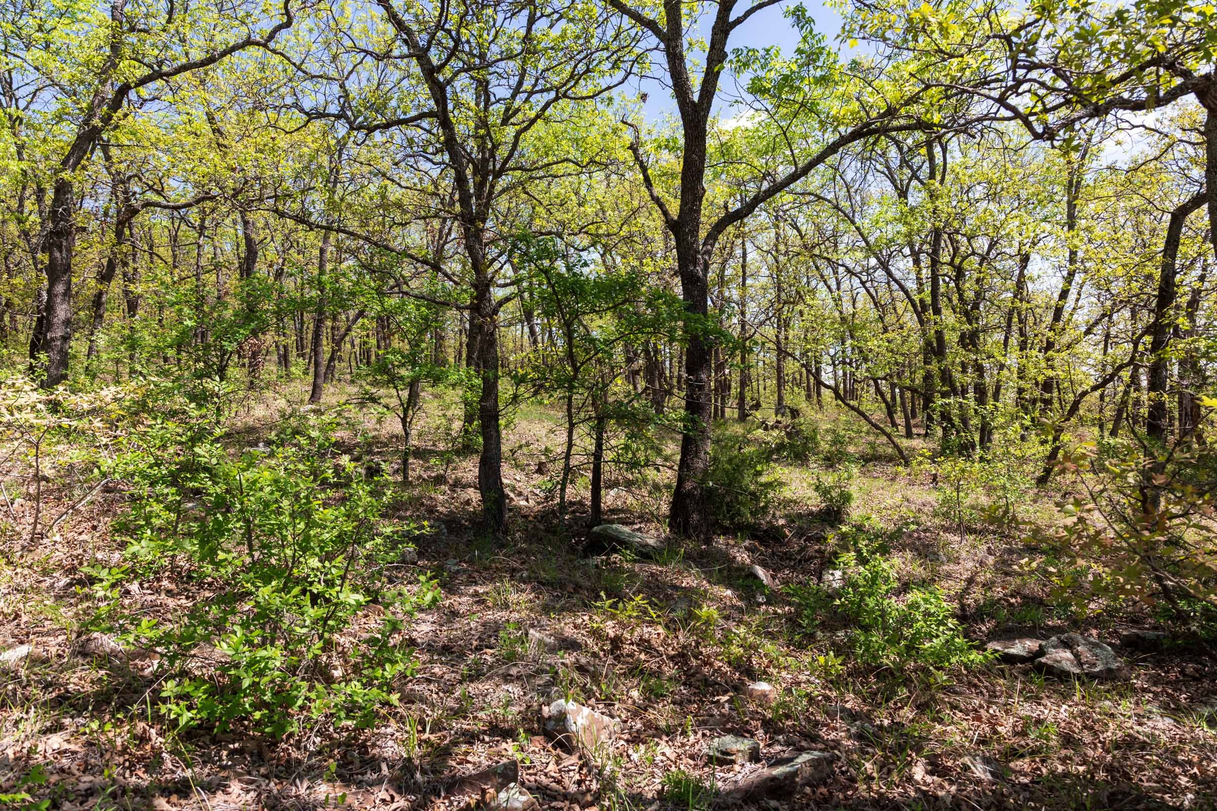 Allie’s Acres Tract 3 photo 14