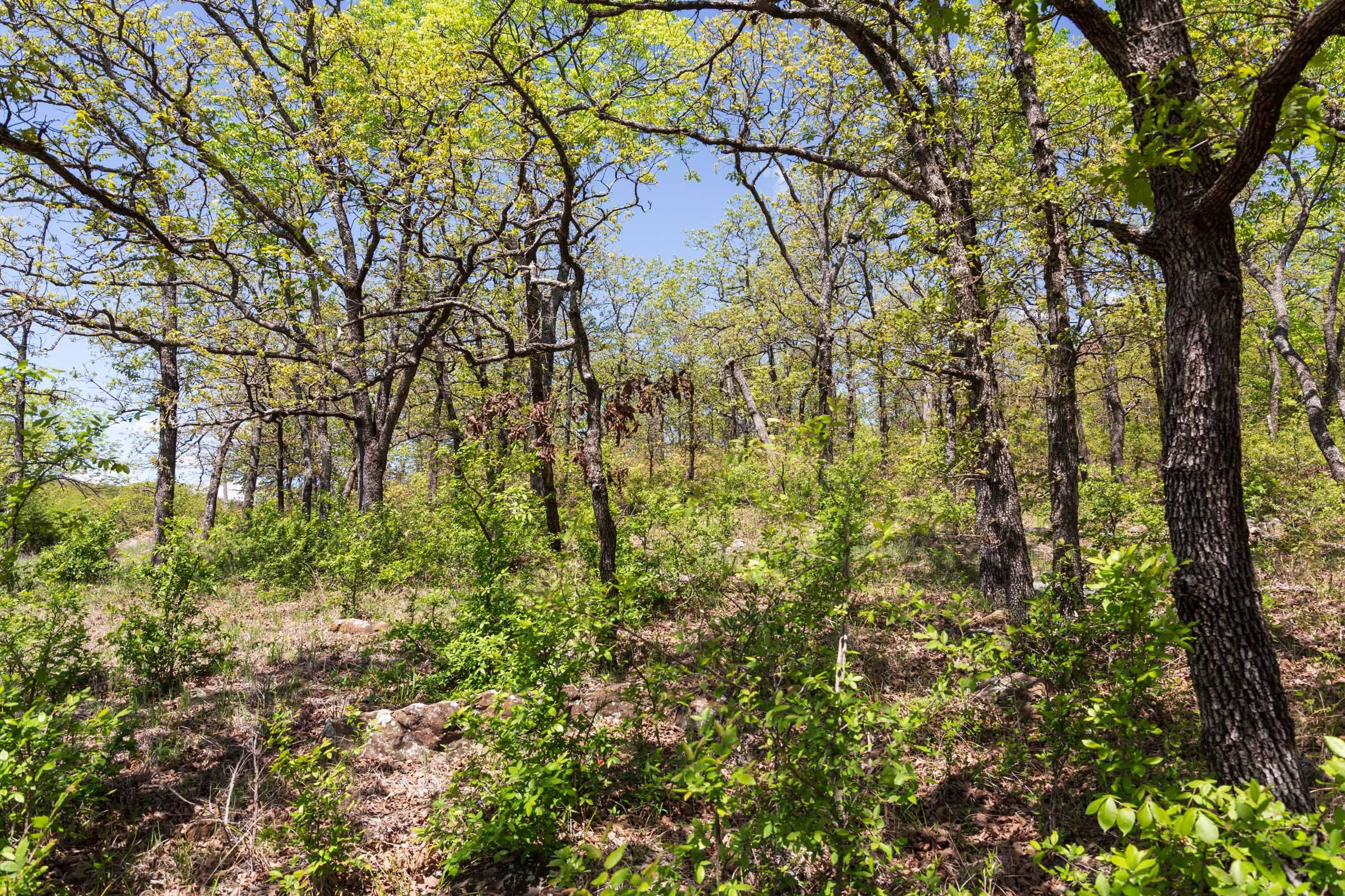 Allie’s Acres Tract 3 photo 15